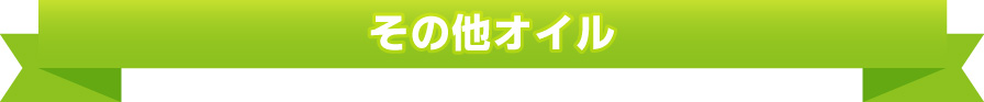 その他オイル