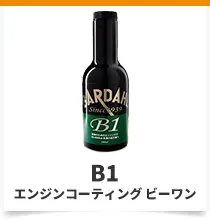 B1
