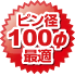 ピン径100φ最適