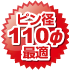 ピン径110φ最適