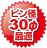 ピン径30φ最適