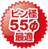 ピン径55φ最適