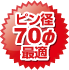 ピン径70φ最適