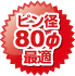 ピン径80φ最適